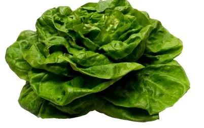 salata