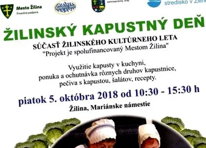 Varzei Žilina ilin