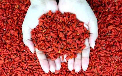 goji