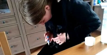 testen
