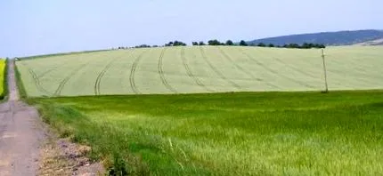 valorile