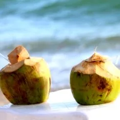 cocos