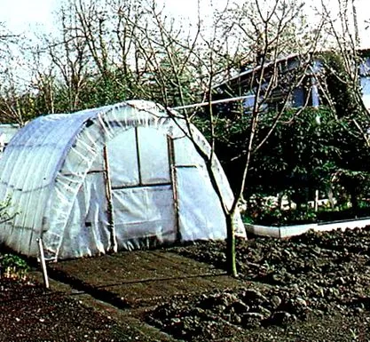 toamnă toamnă