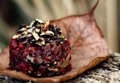 pemmican