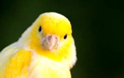 zoohit zoohit
