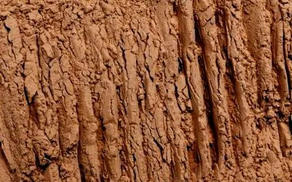 pulbere libelule