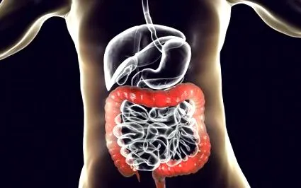 ajutor intestinul