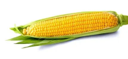 кукурудзу буде