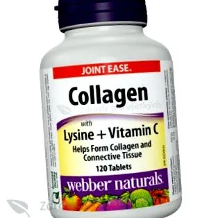 colagen colagen