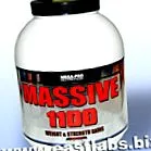 1100 masiv