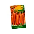 carota daucus