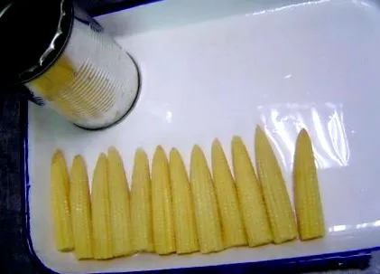 alimente