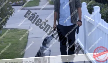adoptat