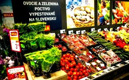 словаків