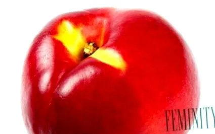 nectarina
