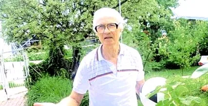 câștigat bani