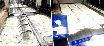 producători calitate