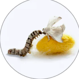 serapeptáza