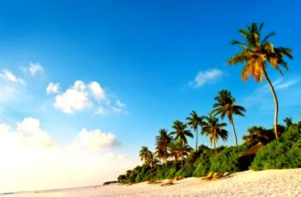 Maldive este descoperiți