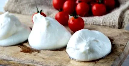 burrat papilele