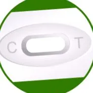 лелека