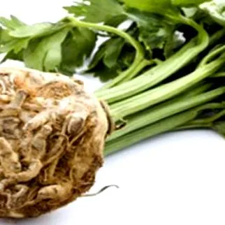 корен кулинарски