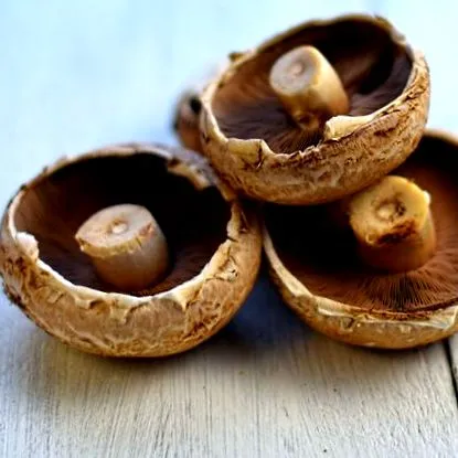 tudja