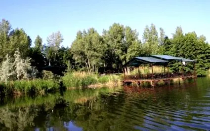 kapott