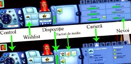 sims