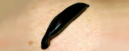 biológiailag aktív