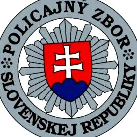 дружини їхні