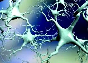 parkinson