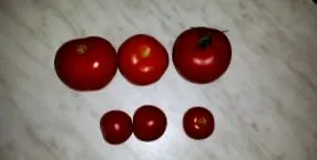 pseudocast