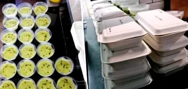 supraviețui supraviețui