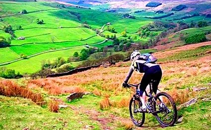 bicicleta yorkshire