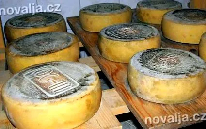 paški paški