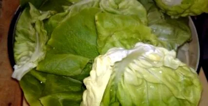 salată brânză