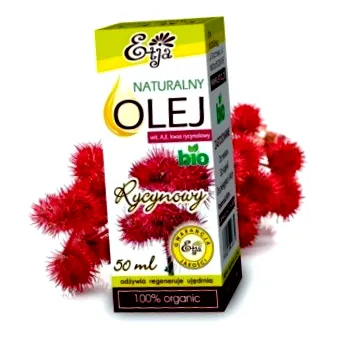 kikapcsolódás kikapcsolódás