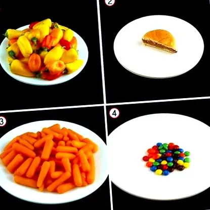 alimentele electronice pentru