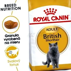 british british