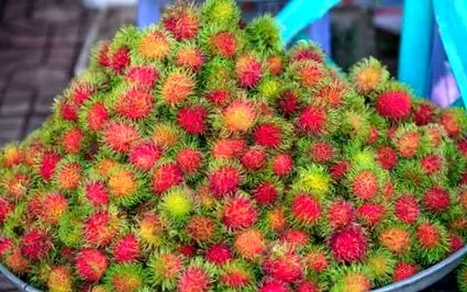 rambutan