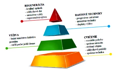 construirii