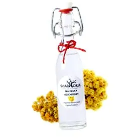 soaphoria flori