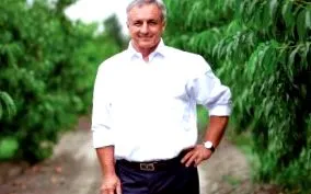 spiš vârful