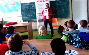 reguli șapte