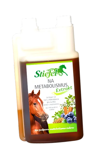 lichide metabolism
