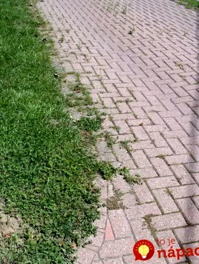 într-un acești