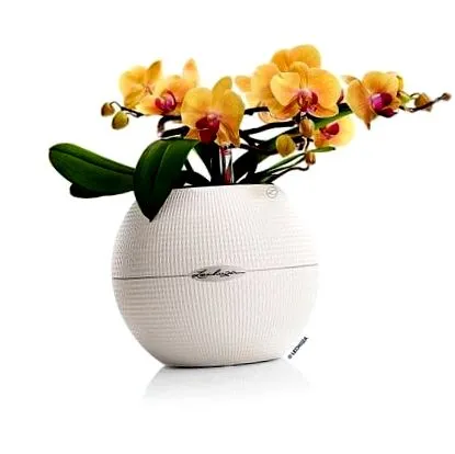 orchideák