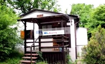 căsuțe