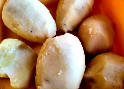 recept recept